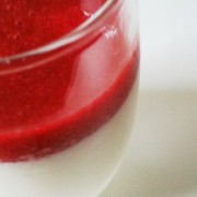 panna cotta panna cotta